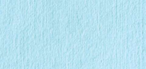 PT smth T 51 - Perf.roll 38x30cm 2x500sh