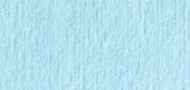 PTliss Turq. - Pli.Z 38x30cm 10x50f